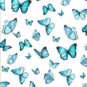 Meet your Posher, Jayda